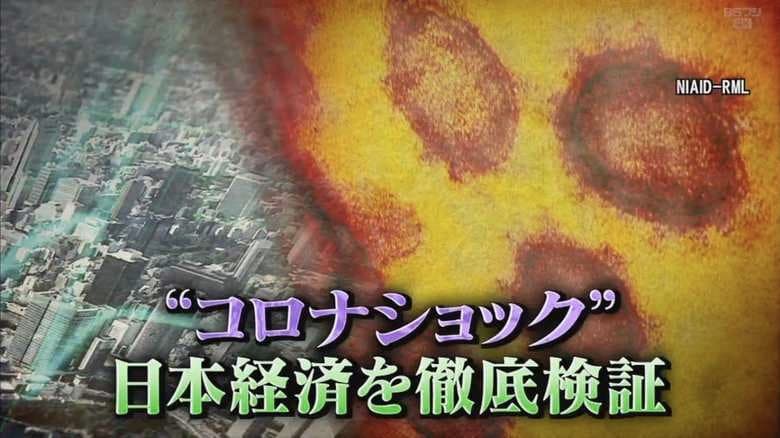 デジタル化の遅れが影響?世帯30万円の現金給付、企業への休業補償をめぐる課題は