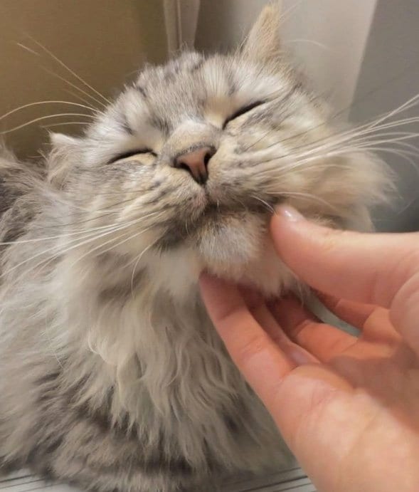 提供：チワックスの諭吉くん。さん