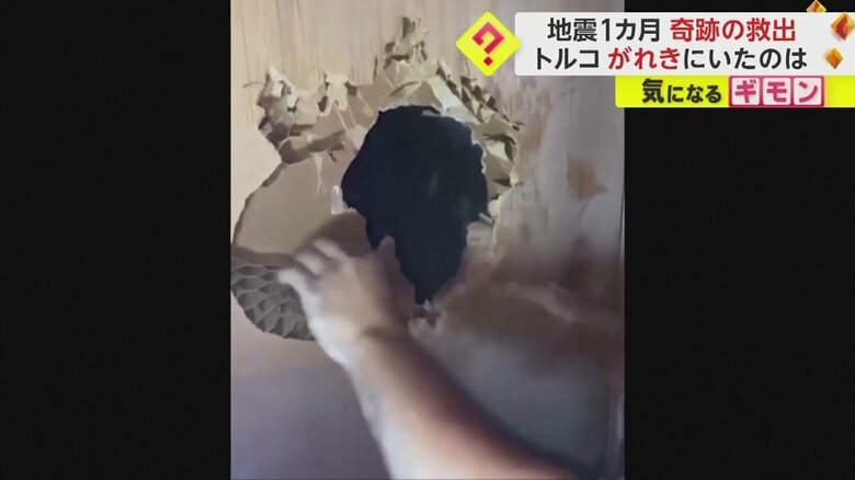 壁に穴を開けるアニマルレスキュー隊員