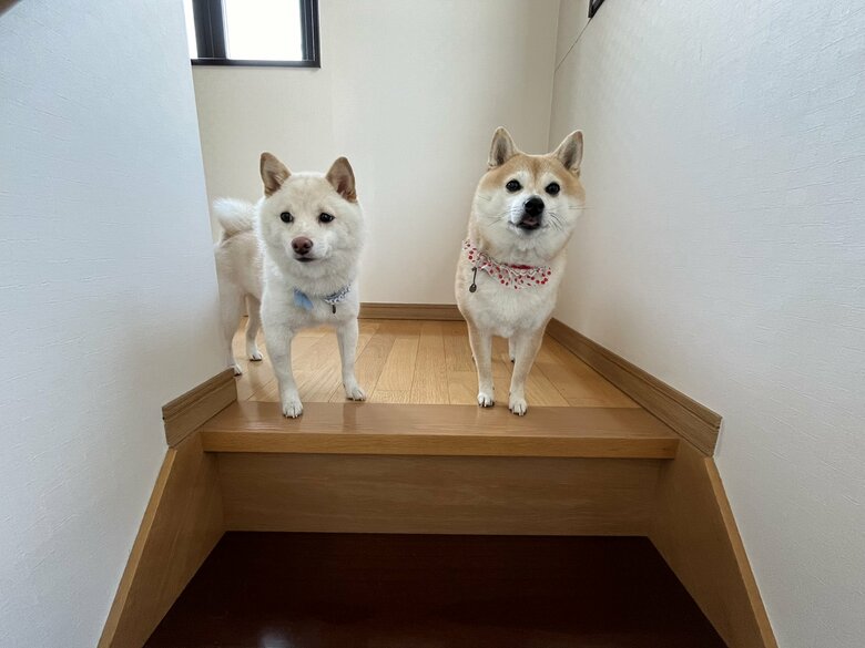 階段の上から