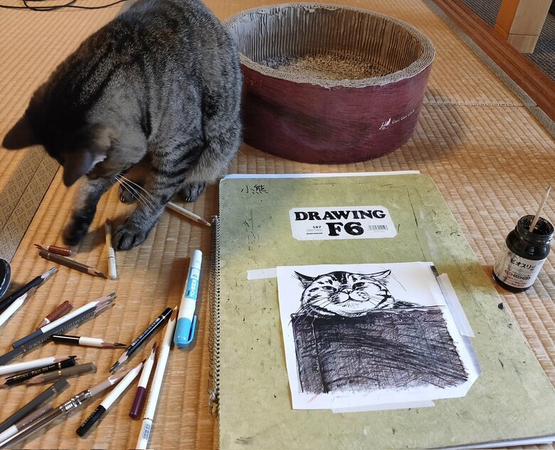 モデルと遊びをこなす