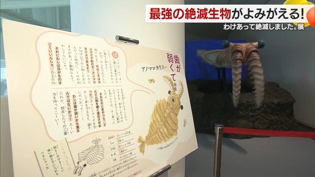 絶滅生物への親近感が湧いてくる