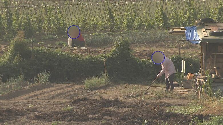 千曲川河川敷内に広がる「ヤミ畑」（2023年9月取材　長野市）