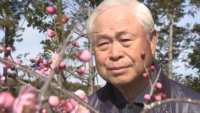 大熊町に花を植える山口三四さん
