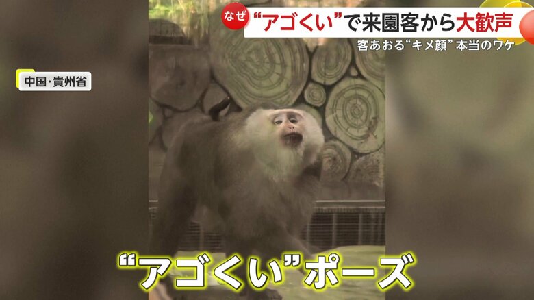 腕を伸ばしてアゴをくいっと上げる、“アゴくい”ポーズ