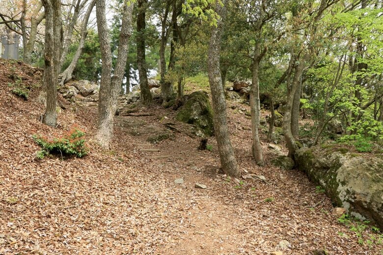 木立奥の巨石が黒金門