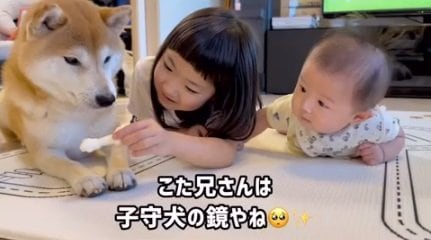 写真右はしゅんくん。こたろうくんは2人の“子守犬”だとか