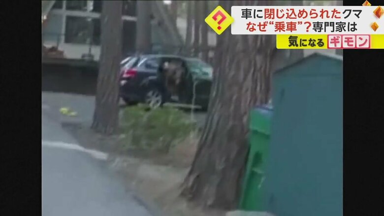 開いたドアから出てくるクマ（Washoe County Sheriff’s Office）