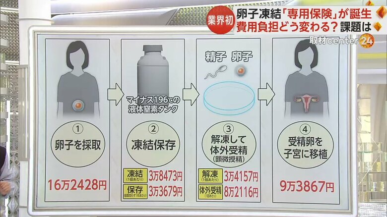 卵子凍結の際に、各工程でかかる費用の東京都の平均金額