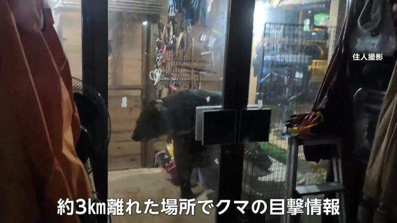 新たな目撃情報に町は注意を呼びかけた