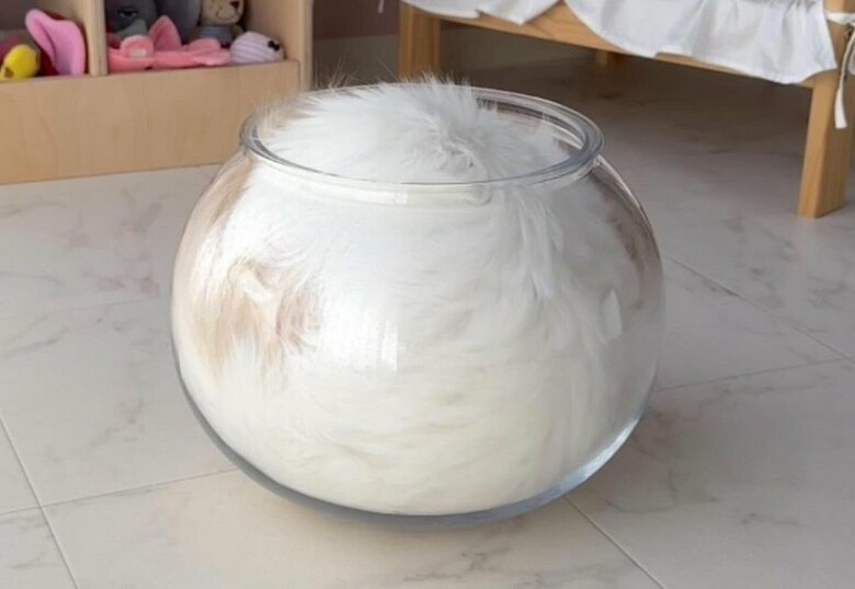 “液体化”している姿。容器の中にみっちりとおさまっている