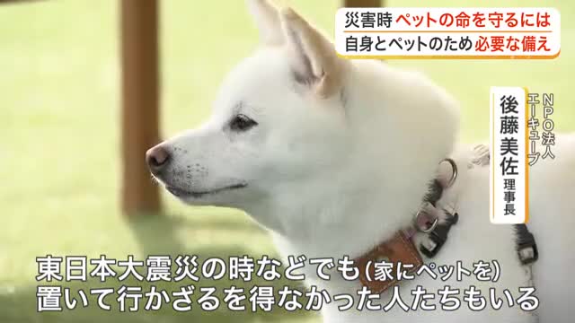 災害時にペットの命を守るために　備えておきたい「ペット防災」　日頃からできる備えとは〈宮城〉(放送局のニュース ) - tenki.jp