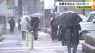 一時、大粒の雪　積雪は菅平24センチ、大町22センチ、信濃町14センチ、長野3センチ（15日午前9時）