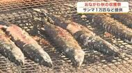 サンマ約１万匹提供！おながわ秋の収獲祭にぎわい〈宮城・女川〉