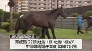 トラックで千葉まで移動　JRA宮崎育成牧場　育成馬22頭が出発