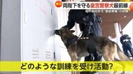 【独自】両陛下を守る“皇宮警察犬”密着取材！爆発物嗅ぎ分けるジャーマン・シェパードのカペル号（5）「無事に行事を終えられた時にほっとする」