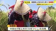 皇室に献上する米を刈り取る「抜穂祭」　11月23日「新嘗祭」で神前に　福岡・大川市