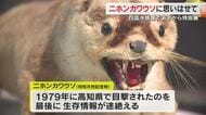 高知県で最後に目撃…２０日から四国水族館で絶滅した特別天然記念物「ニホンカワウソ」特別展【香川】