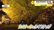 24日ごろは山間部で積雪か…本格的な冬を前に紅葉の庭園 大イチョウの寺はクライマックス(島根県)