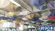 タクシー会社の天井を見上げると…約90本の傘 その理由に思わず納得 驚きと癒やしの光景【愛媛】