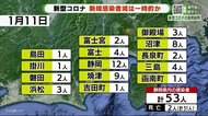 新型コロナ 静岡県内53人 静岡市12人は「検査数少なく一時的」