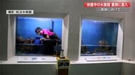 飼育員を展示…ではなく人気の“海のギャング”を増やし迫力ある水槽に! 桂浜水族館がコロナ後を見据え新たな挑戦