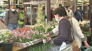 人気の苔玉も出品…春の花々などの鉢植え約100種類を販売「フラワーマルシェ」始まる 愛知・デンパーク