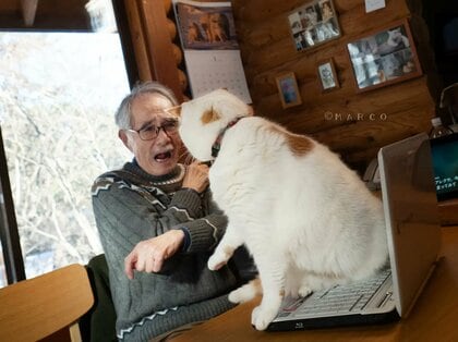 まるで漫画！撫でた直後に“猫パンチ”されるお父さんに19万いいね…その後の“ふたり”の関係【今年私バズりました】