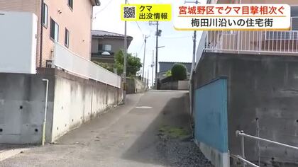 宮城野区の住宅街で深夜にクマが立て続けに２度目撃　小学校近くでドローン捜索も発見に至らず〈仙台市〉