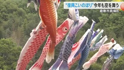 みんなを元気に…西日本豪雨被災者をつなぐシンボル“復興こいのぼり”　被災地の空に舞う【岡山・倉敷市】