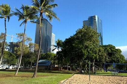 墓じまい・家族供養ニーズで「複数名の故人の散骨」が過去最多3.3倍に 海洋記念葬(R)シーセレモニー、6年連続で実績更新