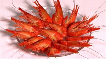 「甘くてプリプリ」海の宝石ホッカイシマエビ 伝統の漁 水揚げ量厳しく管理 【北海道発】