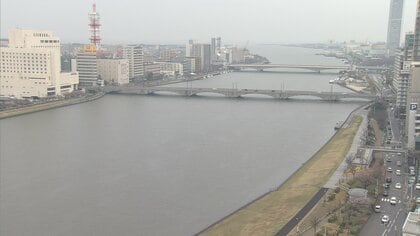 新潟市で桜の開花発表 平年より8日早く去年より6日早い開花 31日は最高気温20℃超の予想　新潟地方気象台