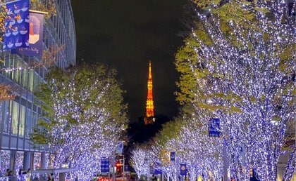 冬を彩るイルミネーションについての大調査【1000人アンケート】