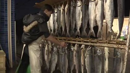 正月の縁起物に　富山市の鮮魚店で「新巻鮭」の天日干し作業