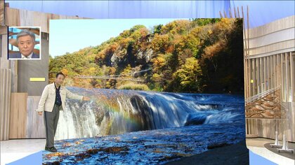 “黄金の絨毯”が見ごろに…今だけの「絶景紅葉コラボ」4選！ 冬桜×紅葉で秋のお花見も