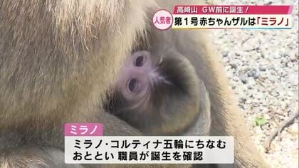 GW目前　観光地・高崎山ではサルの赤ちゃん誕生！名前は「ミラノ」に　「べっぷ駅市場」もリニューアル
