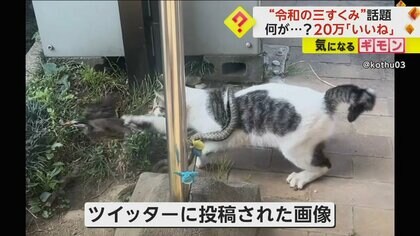 img_591f0d092cef34d8213ac33eae