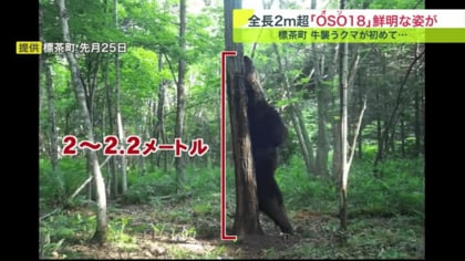 クマさん クマさん初号機👿🚪 on X