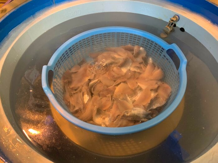 プロトタイプ機の処理槽にアジの切り身を入れた状態(提供:ジャパンシーフーズ)