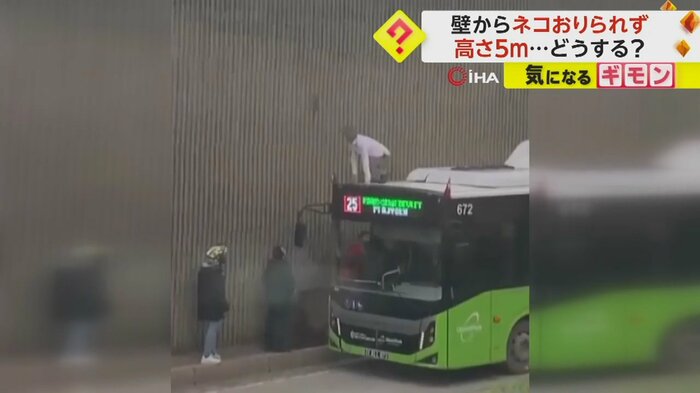 バスの運転手がバスの屋根に登る