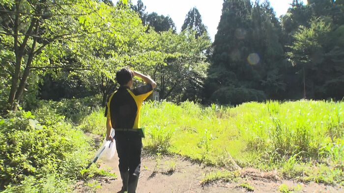 土地の持ち主などに許可をもらい昆虫を採集