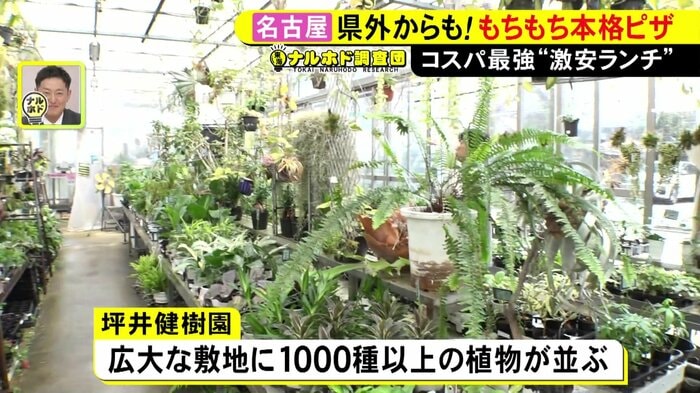 ニュースONE