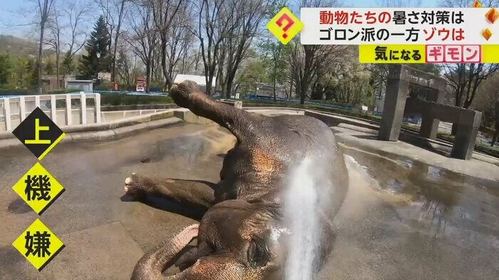 (茶臼山動物園)