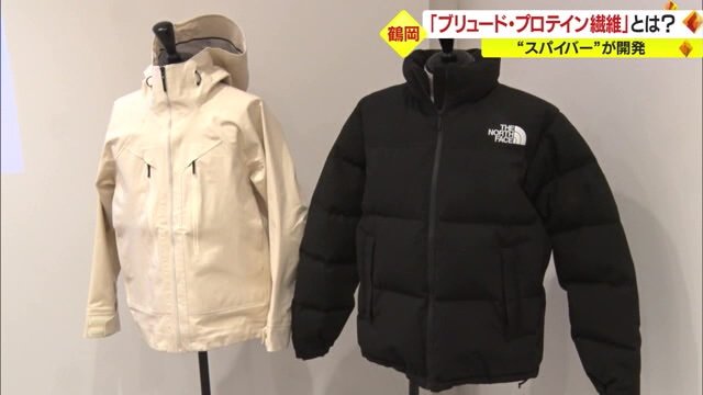 お披露目されたジャケット
