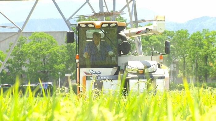 稲刈りをする農家の白井清志さん