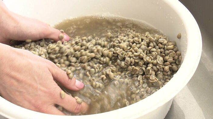 色がどんどん茶色に…