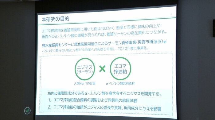 エゴマの搾りかすを養殖魚の餌として活用する研究が関心を集めた