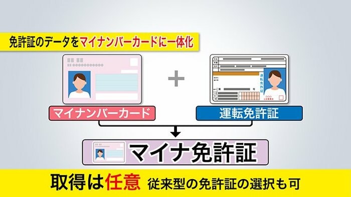 マイナンバーカードと運転免許証が一体化した「マイナ免許証」