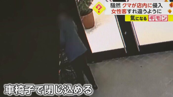 子グマが移動しないよう閉じ込める男性客